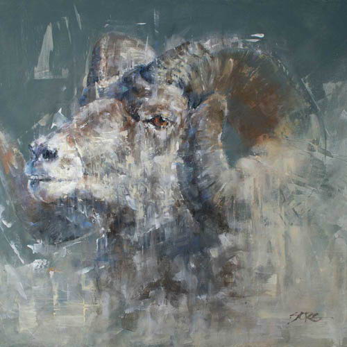 Robin Sorg