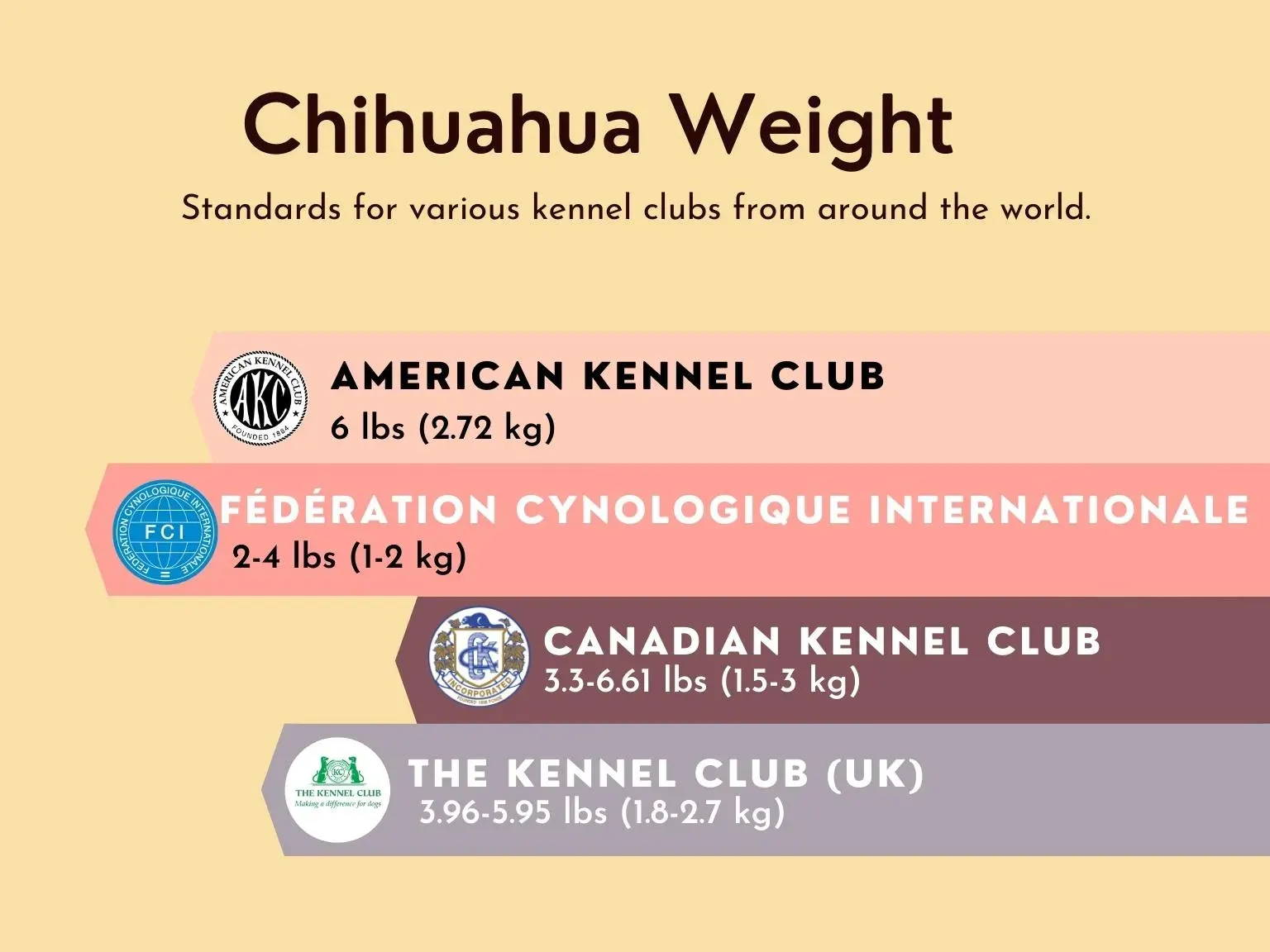 weight chihuahua