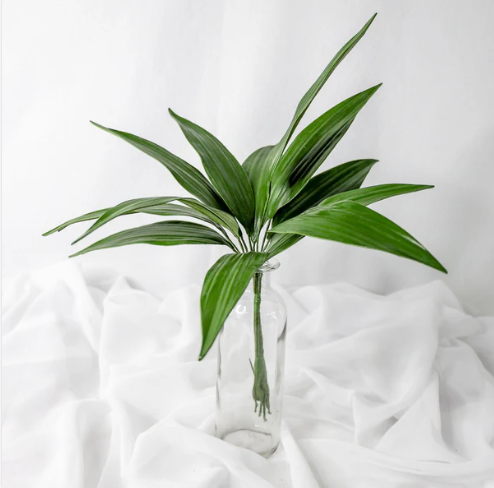 Lilium Leaf (12 Pack) - Realistic Artificial Flowers - Image 3