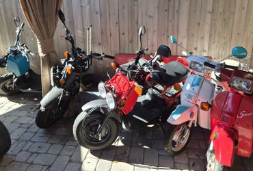 2009 HONDA NPS50 RUCKUS motorcycle for rent near GALVESTON, TX