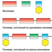 Мономер и полимер — Шаг 1 — Stepik