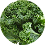 fastblast daily essentials contains organic kale