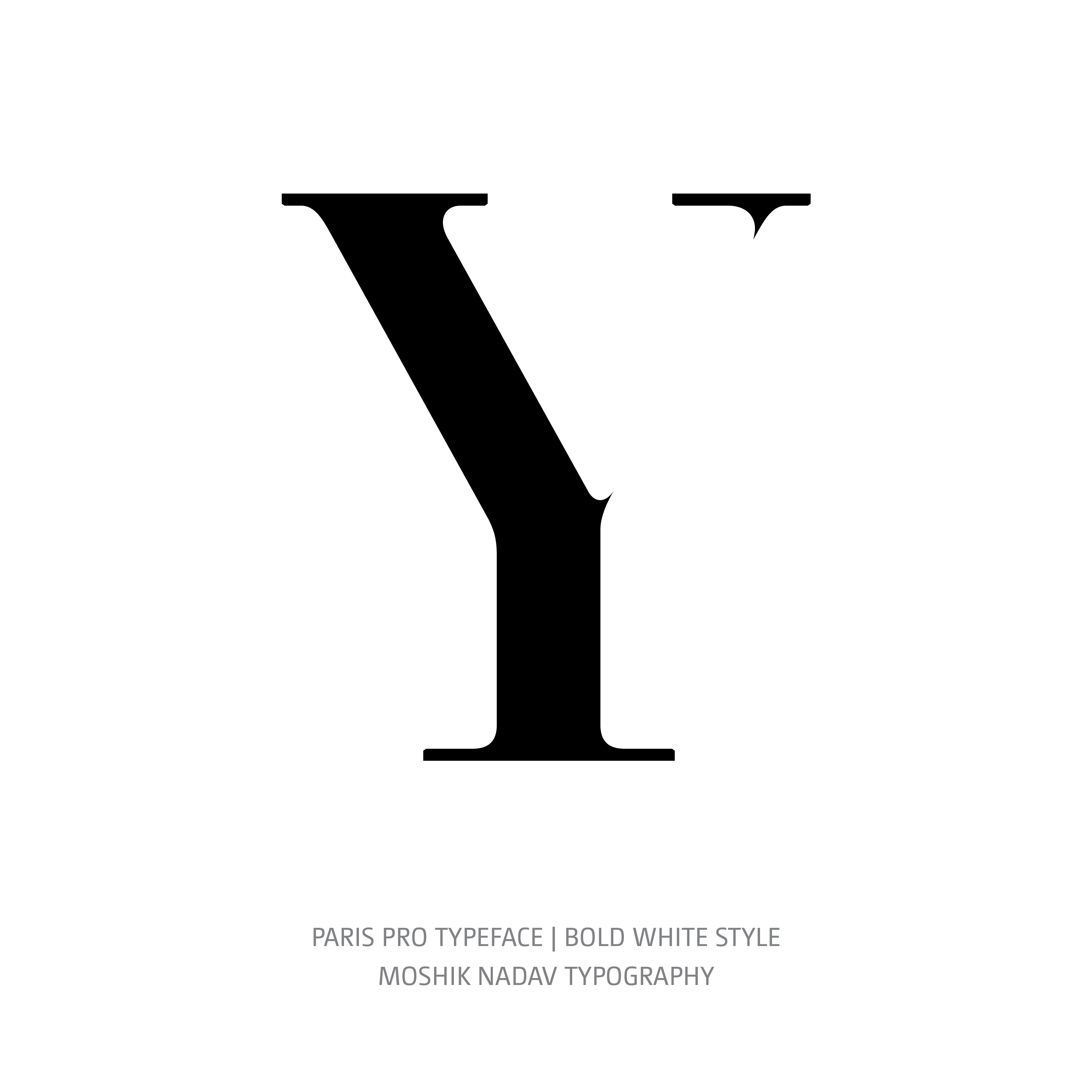 Paris Pro Typeface Bold White Y