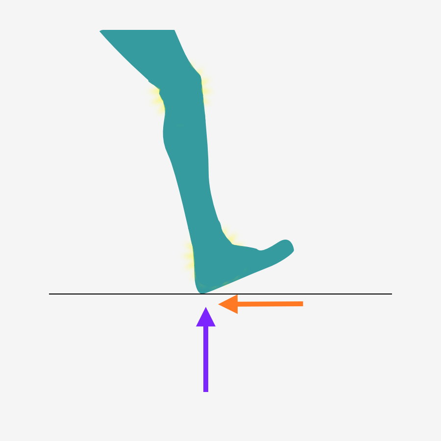 foot ground reaction forces newtons 3rd law horizontal and vertical