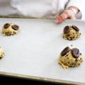soft and chewy chocolate chip cookies