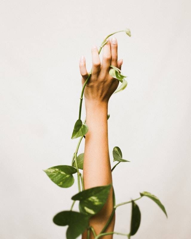 Photo by Calen George on Unsplash