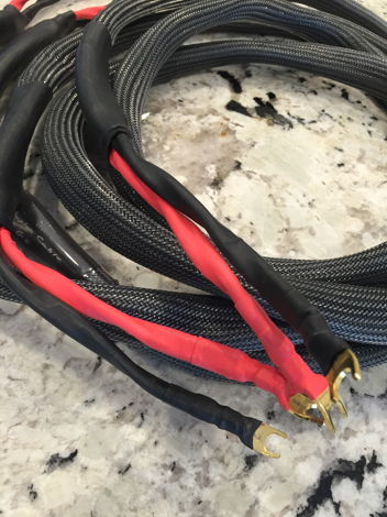 Kaplan Cables GS speaker cables, spades. 9 feet tip to ...