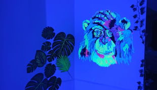 https samazonawscom appforest uf f neongaming s affe