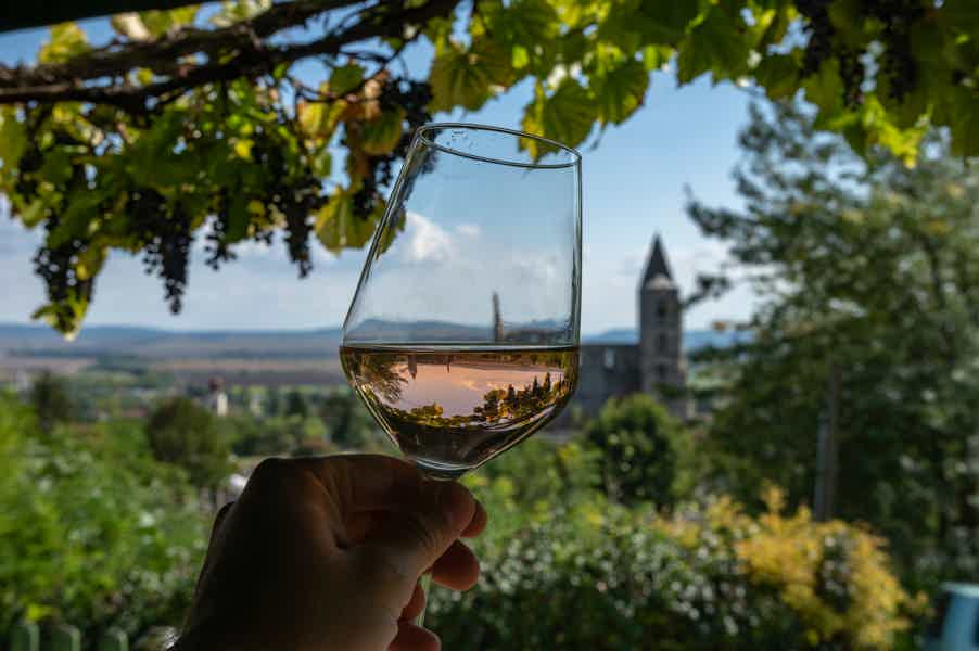 Wine, Cheese, and Charcuterie Tasting - photo 4