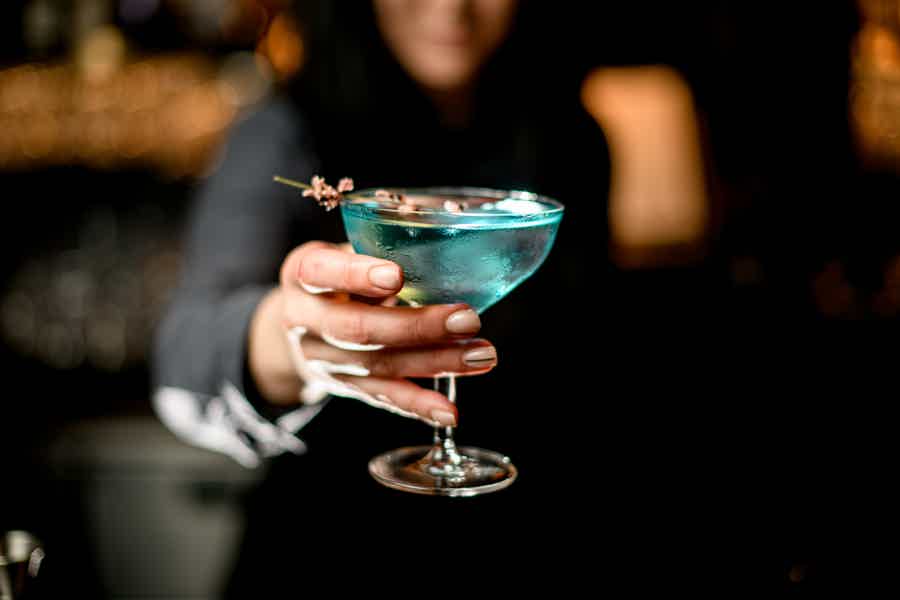 Hungarian Gin and Tonic Tasting and Workshop - photo 2