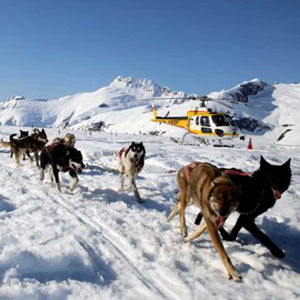 Cruise Excursion: Dogsled & Glacier Adventure by Helicopter