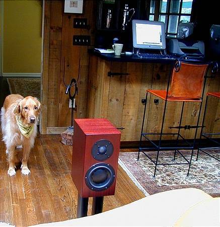 Bear checking out theTotems