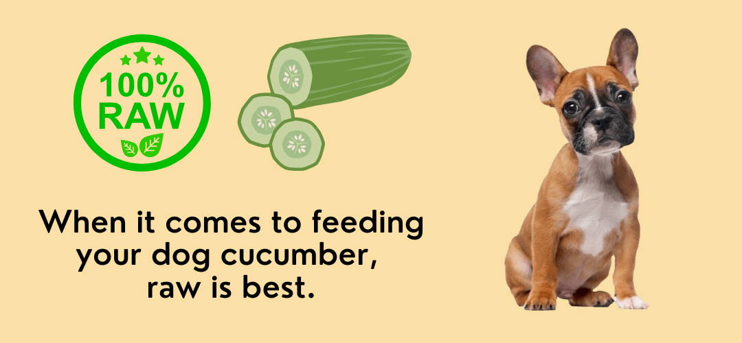 raw cucumber is better for dogs
