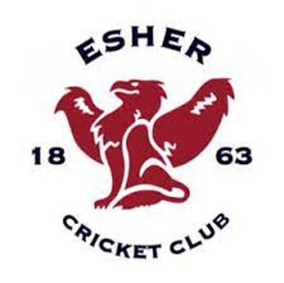 Esher Cricket Club Cricket Club Logo