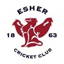 Esher Cricket Club logo
