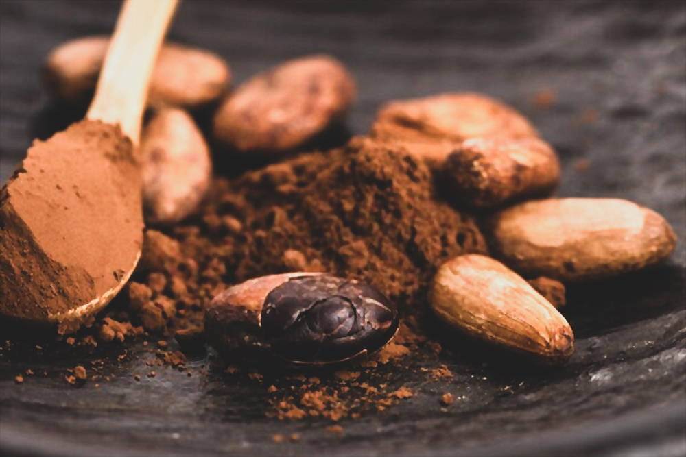 Cacao powder in wooden spoon