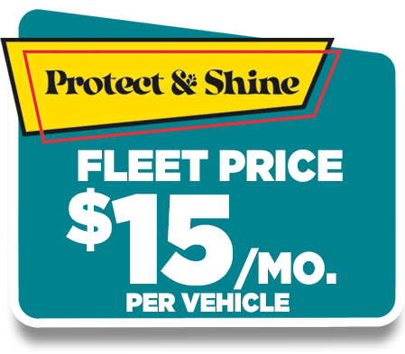 Protect & Shine fleet badge