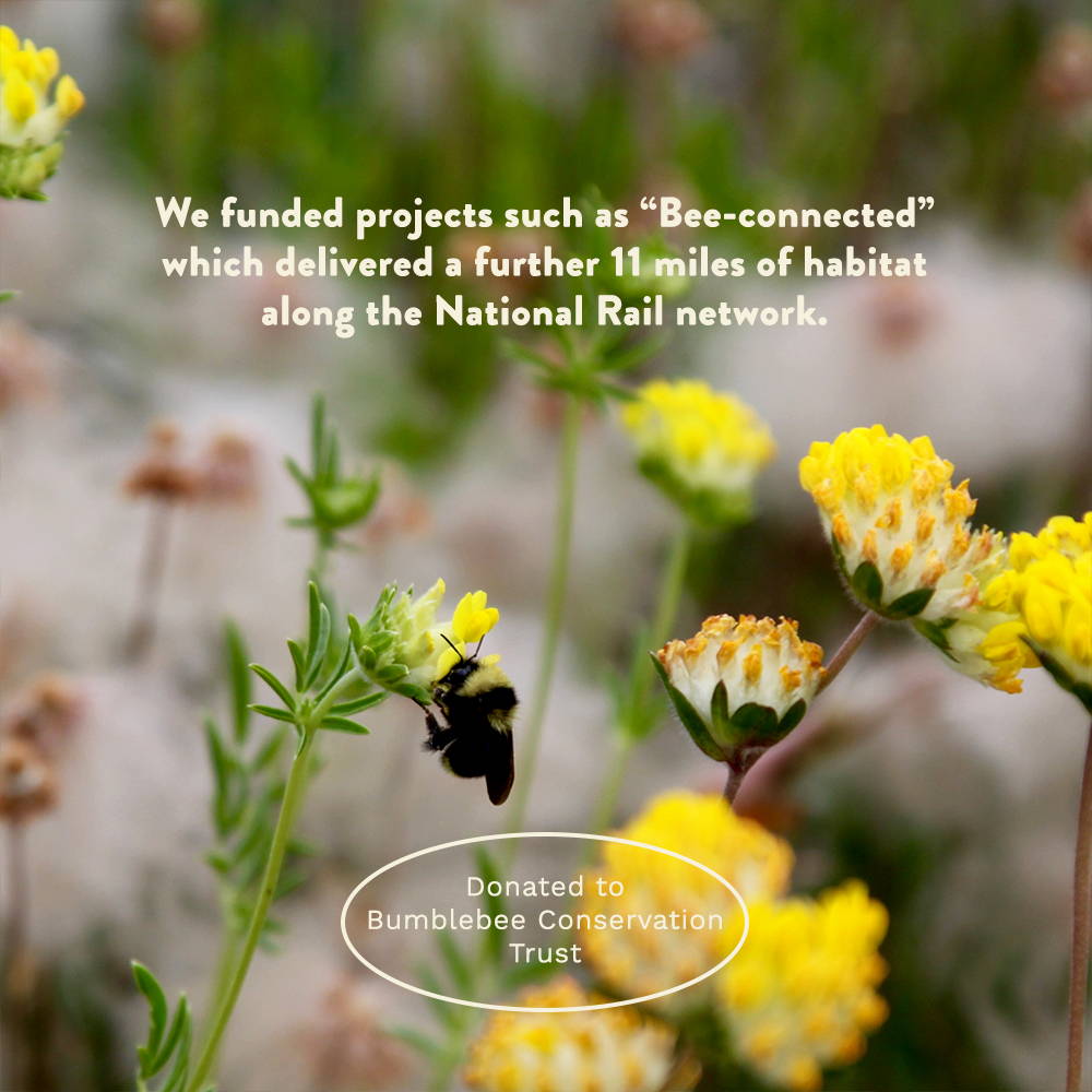 we funded 11 miles of habitat along the National Rail for bumblebees