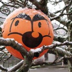 BenNevis Avatar