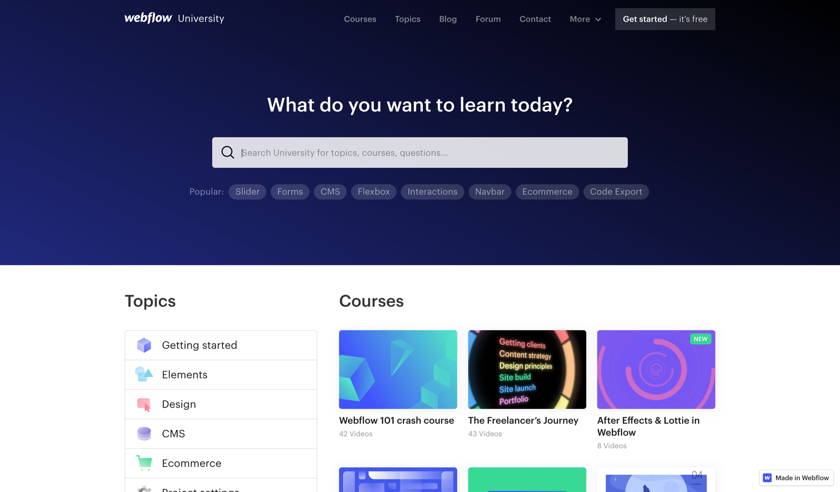 The Webflow university.