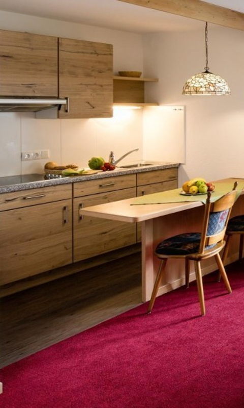 Wohn-Essbereich in Ferienwohnung mit Blick ins Grüne und auf die Berge