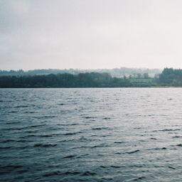 list image