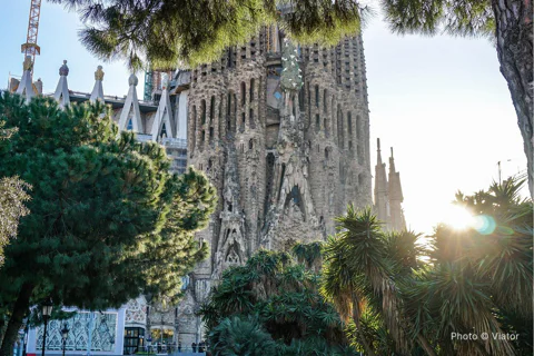 Barcelona all included: Sagrada, Park Güell, Montjuic & Gothic