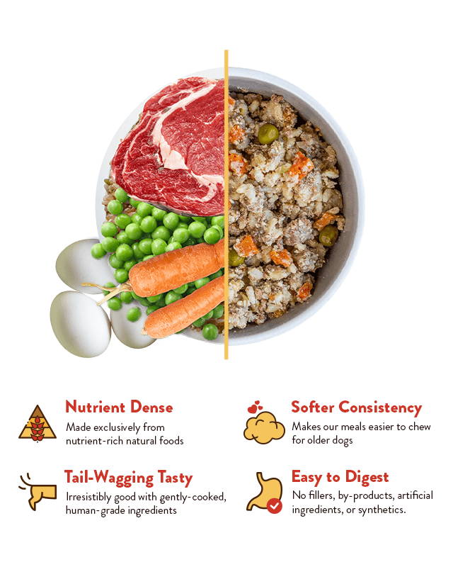 A dog bowl showing the natural ingredients that is in Portland Pet Food's dog food for senior dogs. 