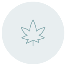 leaf icon