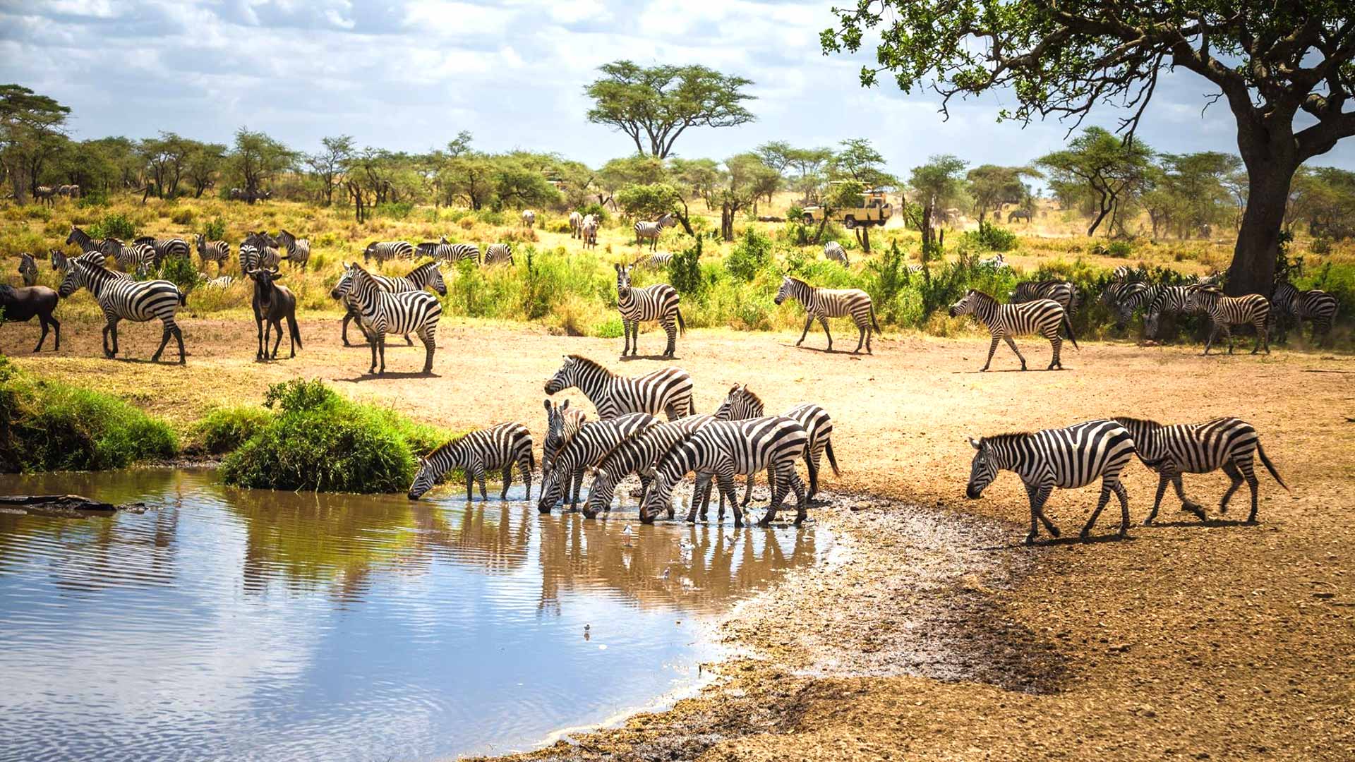 7 Days Kenya & Tanzania Private Safaris