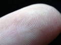 close up image of fingerprint 
