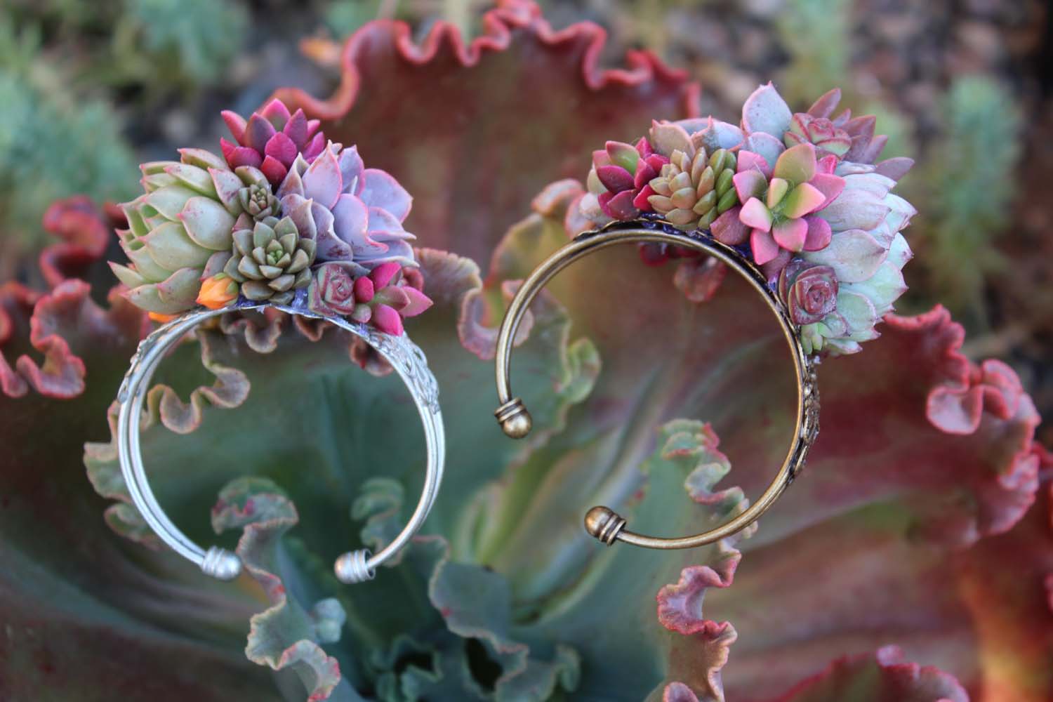 succulent cuff bracelet corsage wedding wrist