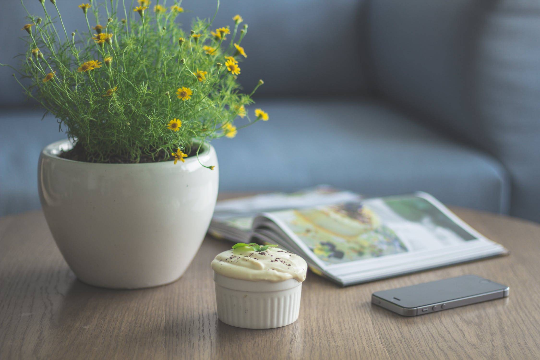 home furniture with plant