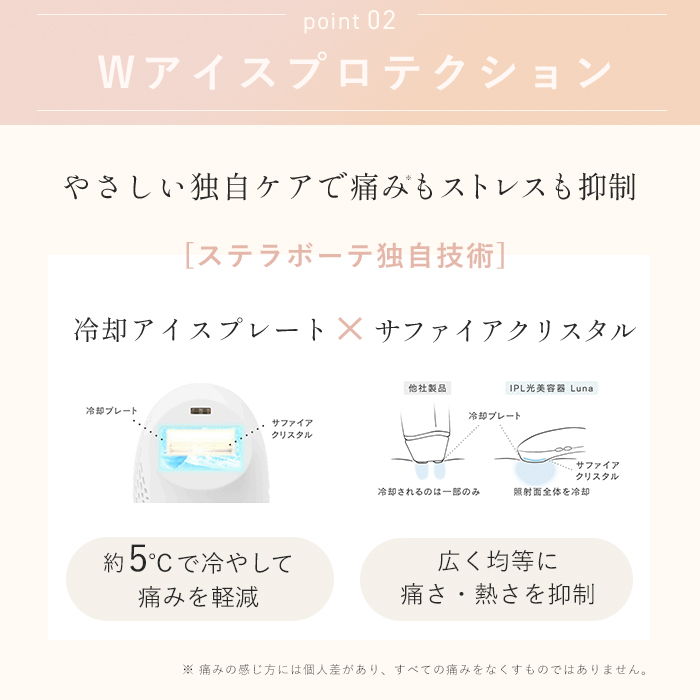 Wアイスプロテクション