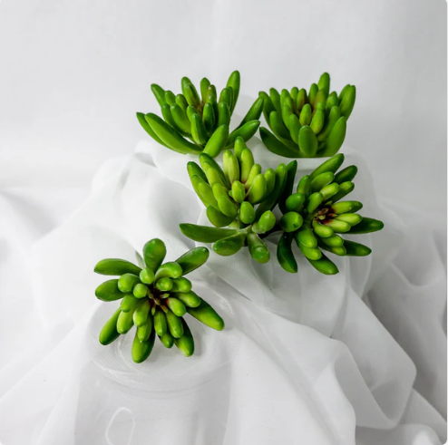 Claw Lotus Succulent (6 Pack) - Realistic Artificial Flowers and Greenery
