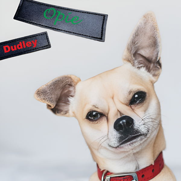 Pete's Pet Products - Personalised Dog Harness
