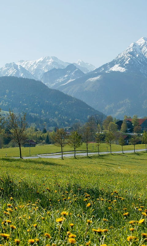 Pfronten im Frühling: Blühende Wiesen und verschneite Berge