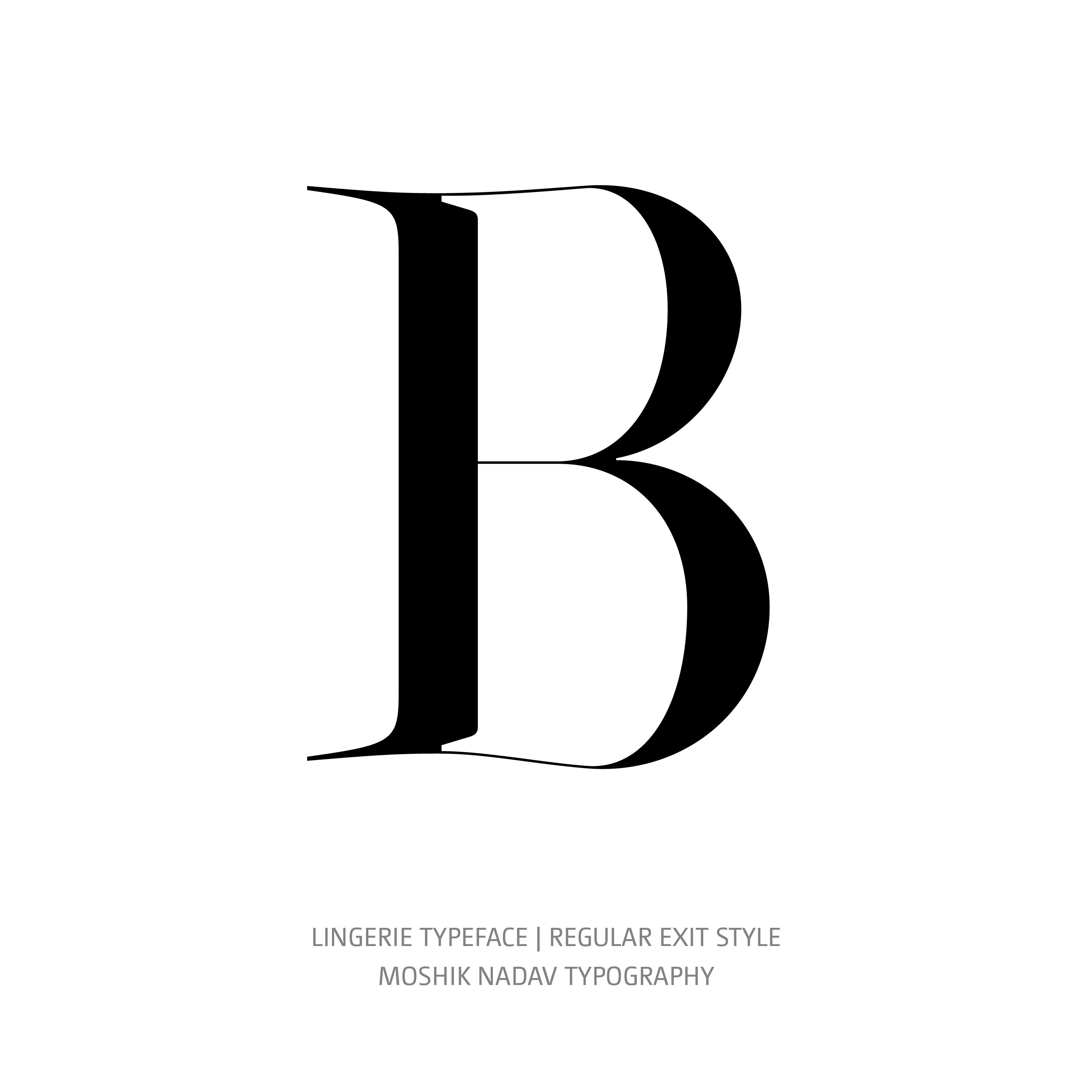 Lingerie Typeface Regular Plain B