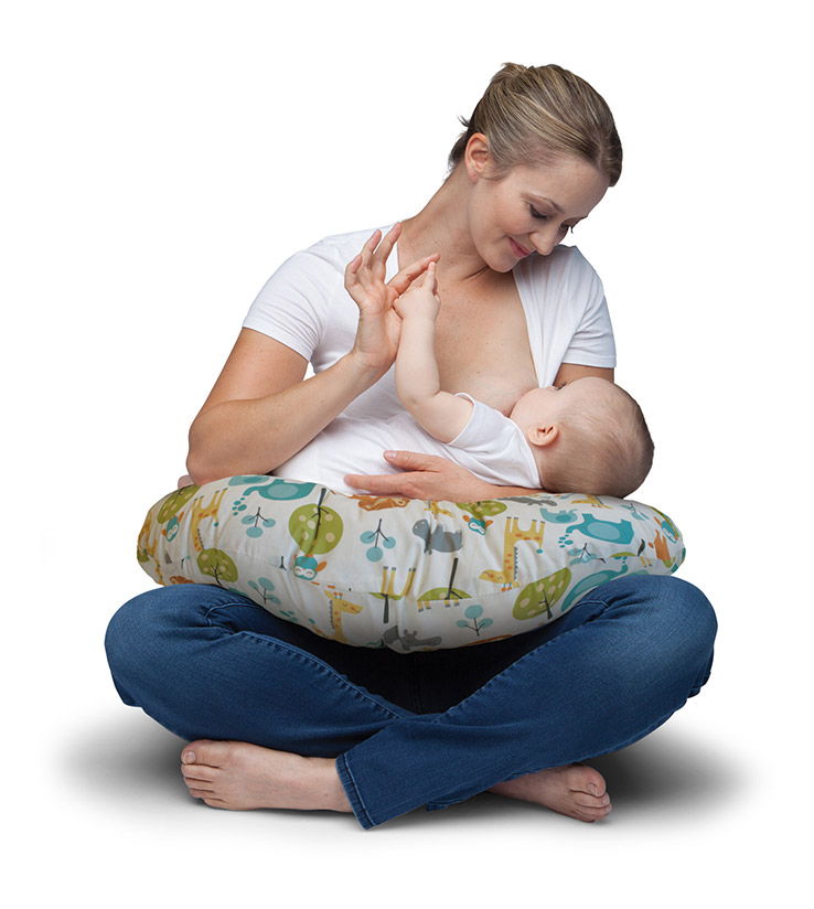 2 Best Alternatives To Twin Z Support And Feeding Pillow As Of