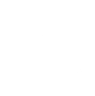 White checkered gavel icon on black background, angled diagonally, with “HIGHLIGHT” text along handle