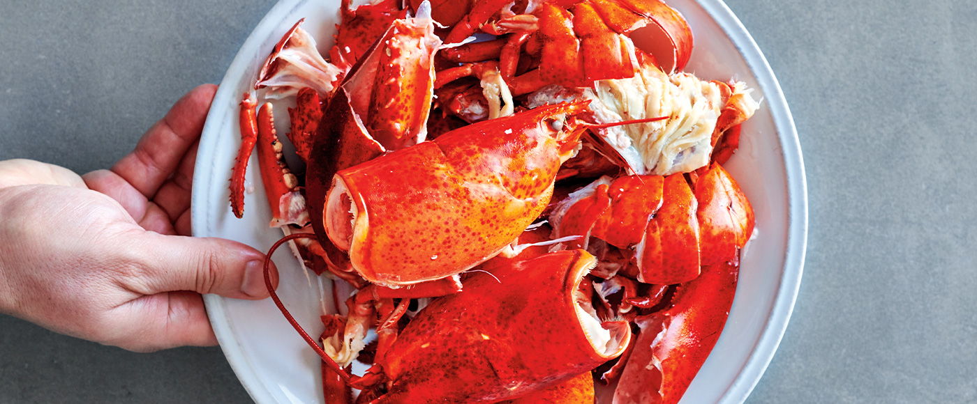 4 Ways to Use a Lobster’s Shell | RICARDO