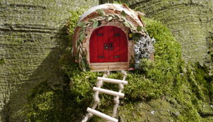 kingergeburtstag im magischen wald mirtschink