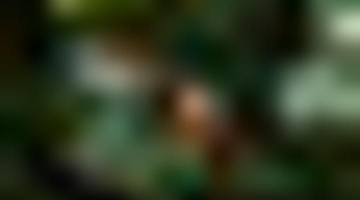 Main Content Image