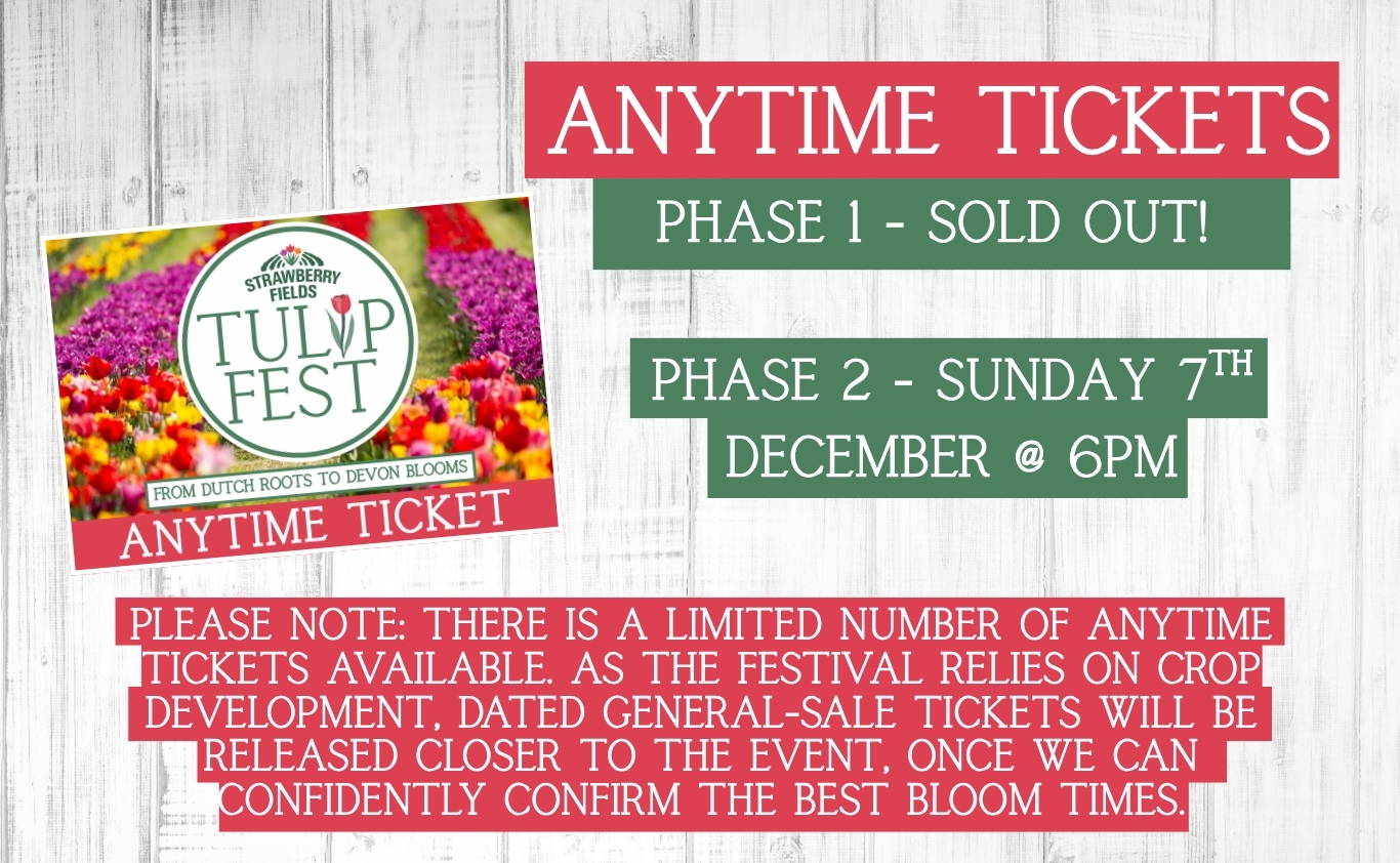 Experience Tulip Fest 2026 - the South West’s original and largest tulip festival. Explore over 500,000 blooms, 60 vibrant varieties, stunning photo spots, family-friendly entertainment, and a touch of Holland in the heart of Devon. Don’t miss this spectacular spring event!