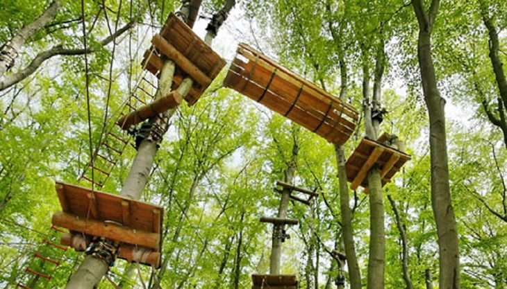 abenteuerpark potsdam blick in die baumkronen