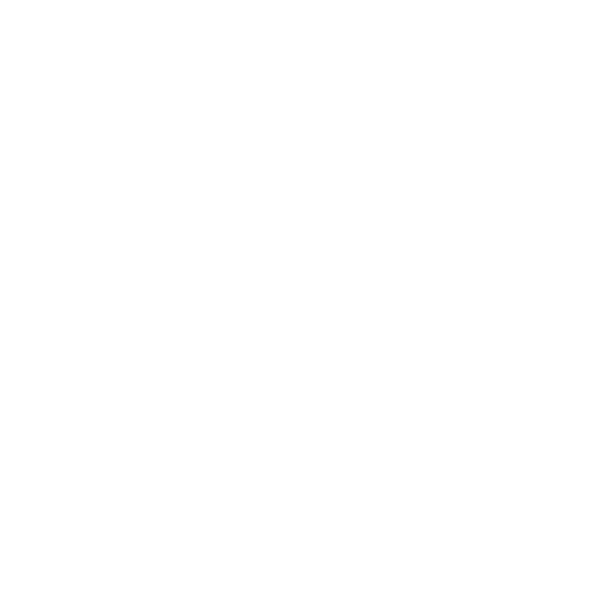 Champagnerflasche Icon