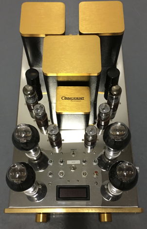Coincident Speaker Tech SIP 300B SET 300B Integrated Amp