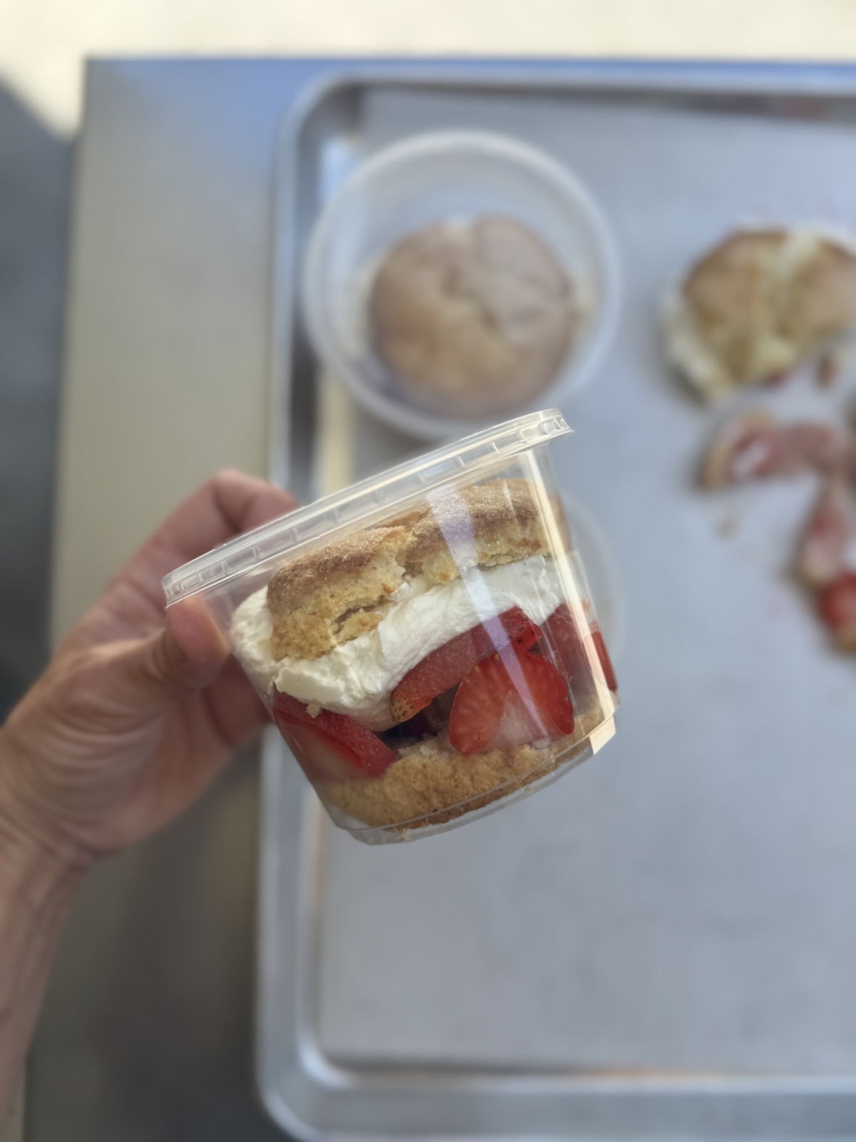 Anna Olivia - Sconery - Bay Area Scones — photo from hotplate.com
