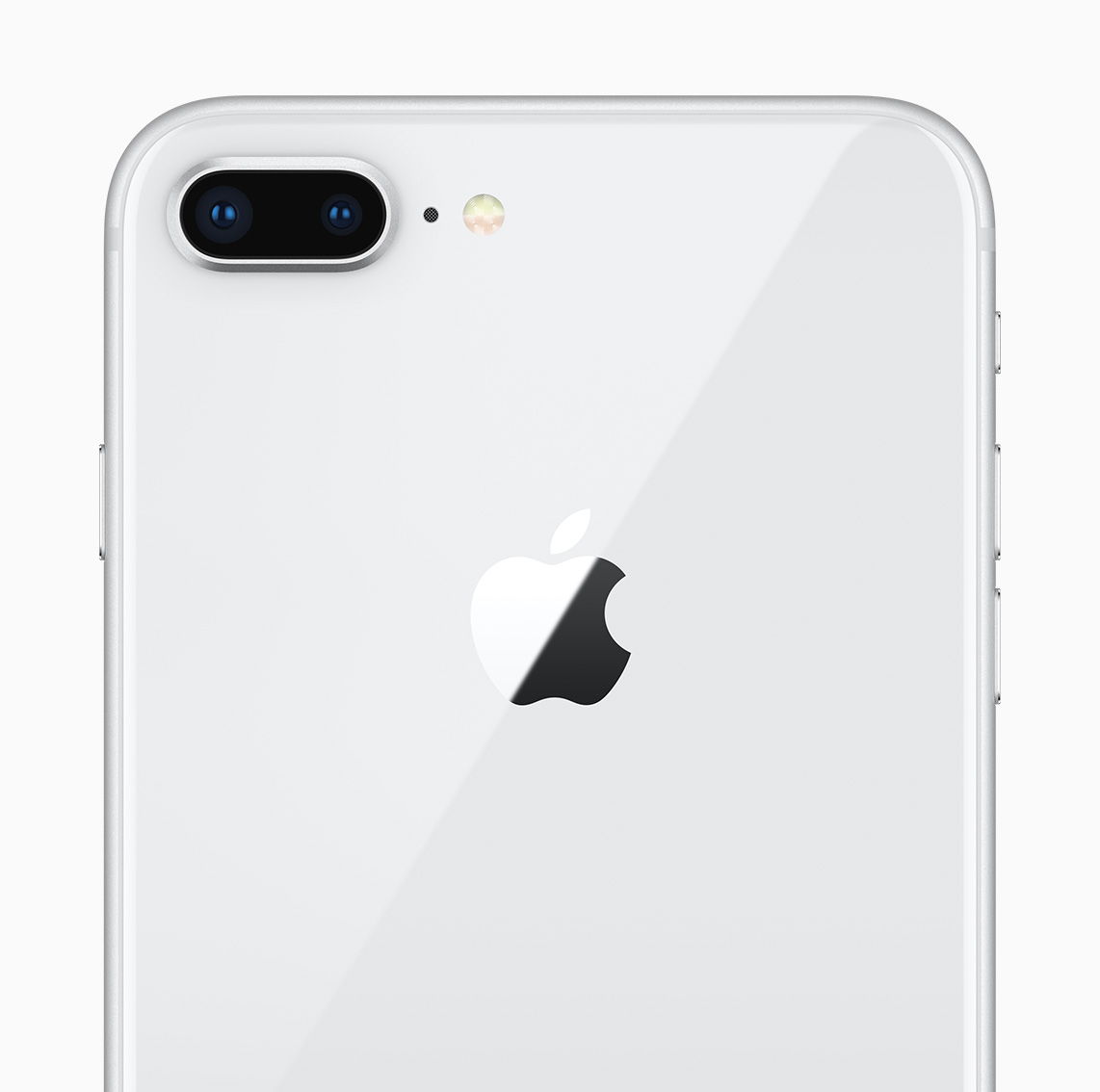 iPhone8の1,200万画素のメインカメラ