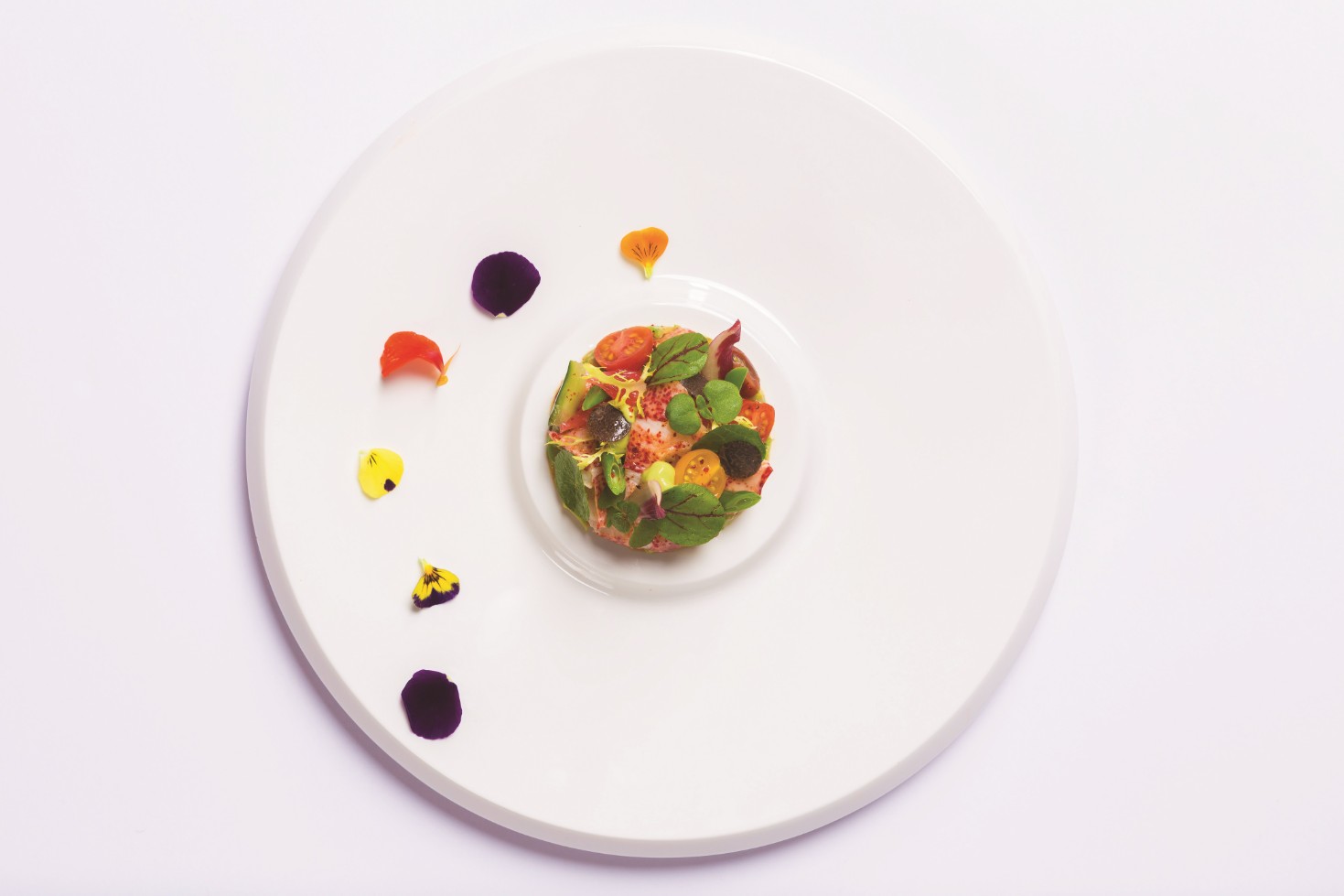 Le Cirque Uploaded on 2021-11-17
